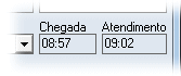 Campos "Chegada" e "Atendimento"